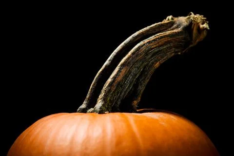 Pumpkin: Stock Photos
