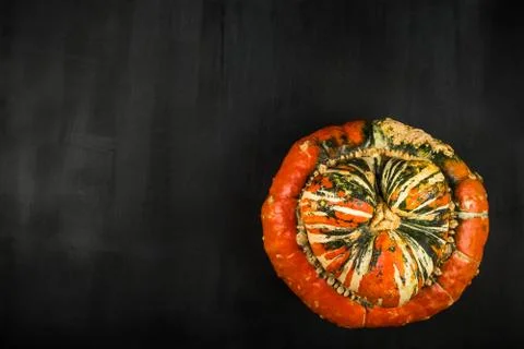 Pumpkin Foto stock