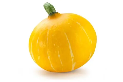 Pumpkin. Stock Photos