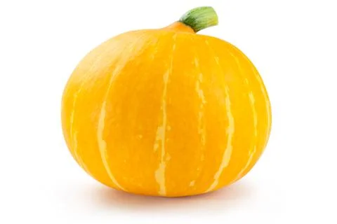 Pumpkin. Stock Photos