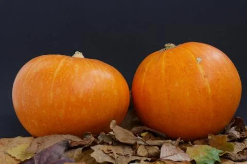 Pumpkin Stock Photos