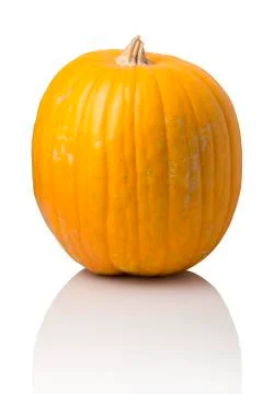 Pumpkin Stock Photos