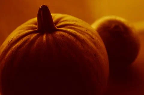 Pumpkin Stock Photos