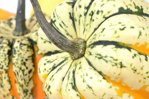 Pumpkin Stock Photos