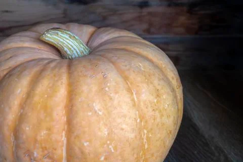 Pumpkin. Stock Photos