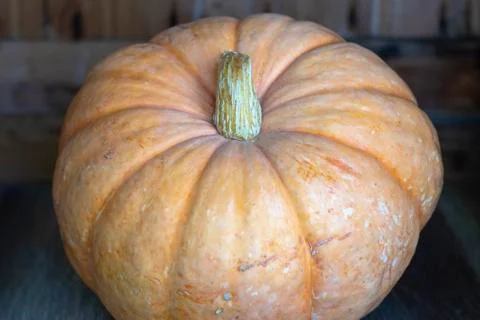 Pumpkin. Stock Photos