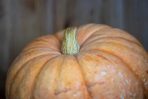 Pumpkin. Stock Photos