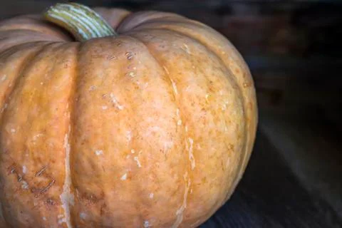 Pumpkin. Stock Photos