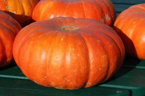 Pumpkin. Stock Photos