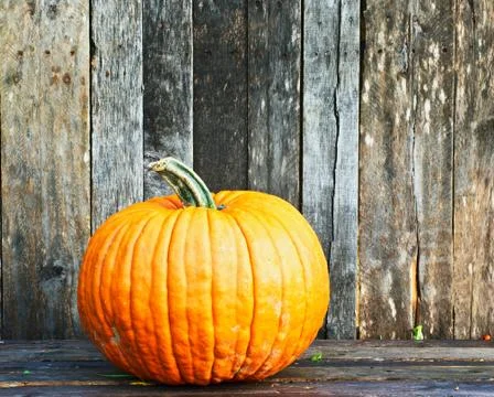 Pumpkin Stock Photos