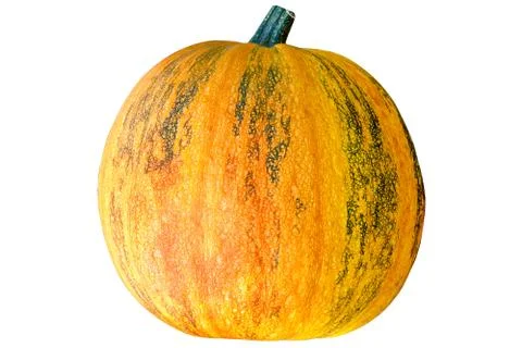 Pumpkin Stock Photos
