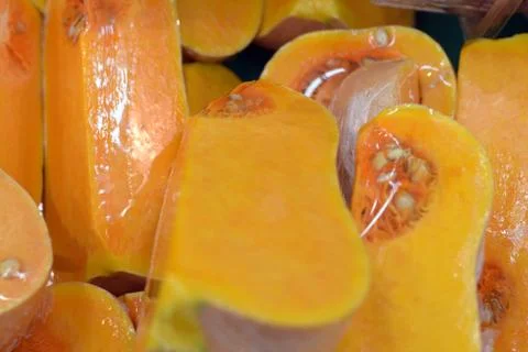 Pumpkin 写真素材