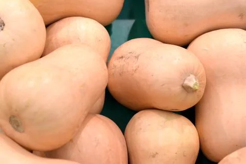 Pumpkin 库存照片