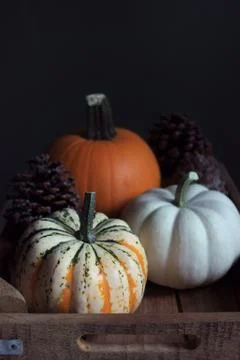 Pumpkin 스톡 사진