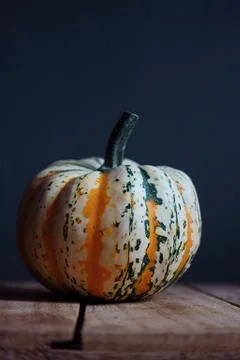 Pumpkin 스톡 사진