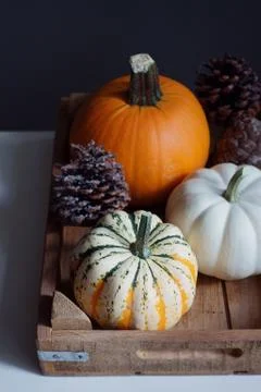 Pumpkin 스톡 사진