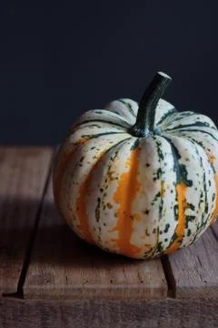 Pumpkin 스톡 사진