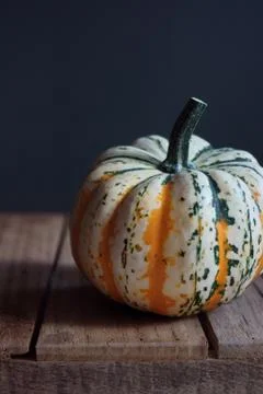 Pumpkin 스톡 사진