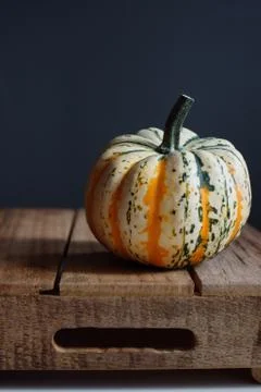Pumpkin 스톡 사진