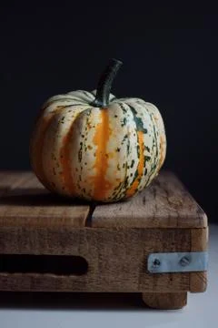 Pumpkin 스톡 사진