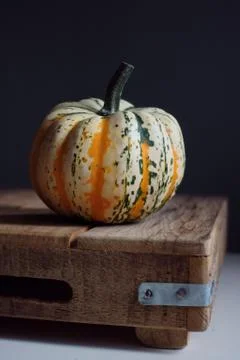 Pumpkin 스톡 사진