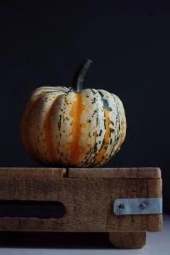 Pumpkin 스톡 사진
