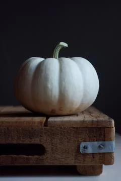 Pumpkin 스톡 사진