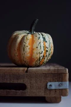 Pumpkin 스톡 사진