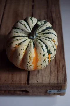 Pumpkin 스톡 사진