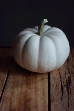 Pumpkin 스톡 사진