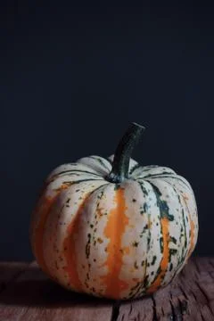 Pumpkin 스톡 사진