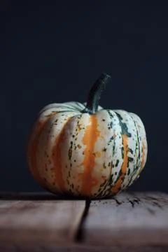 Pumpkin 스톡 사진