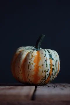 Pumpkin 스톡 사진