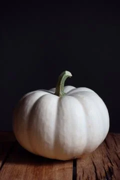 Pumpkin 스톡 사진
