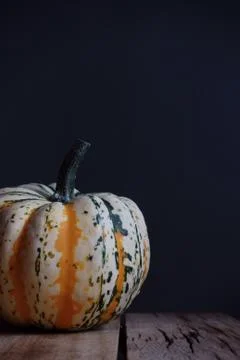 Pumpkin 스톡 사진