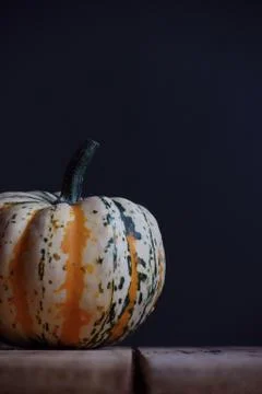 Pumpkin 스톡 사진