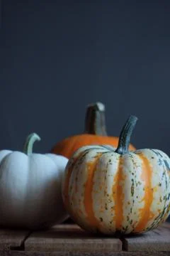 Pumpkin 스톡 사진