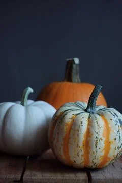 Pumpkin 스톡 사진