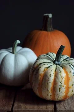 Pumpkin 스톡 사진