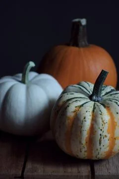 Pumpkin 스톡 사진
