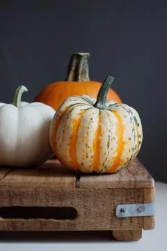 Pumpkin 스톡 사진