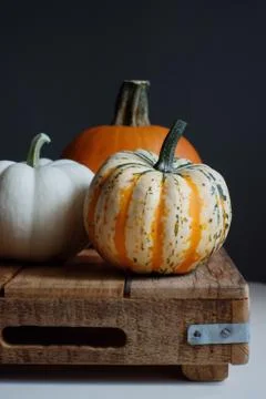 Pumpkin 스톡 사진
