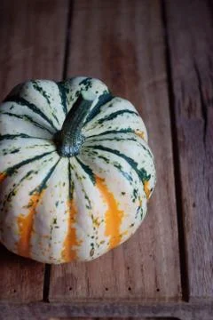 Pumpkin 스톡 사진