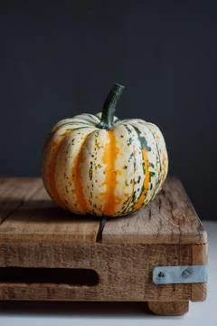 Pumpkin 스톡 사진