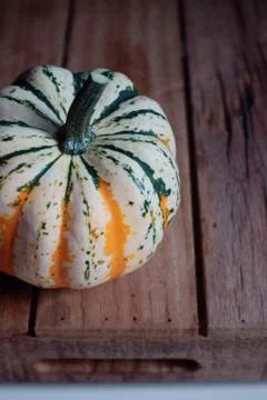 Pumpkin 스톡 사진