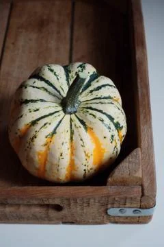 Pumpkin 스톡 사진