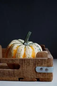 Pumpkin 스톡 사진