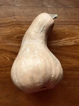 Pumpkin Stock Photos