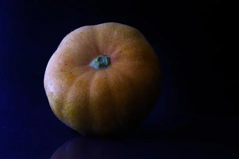 Pumpkin Stock Photos