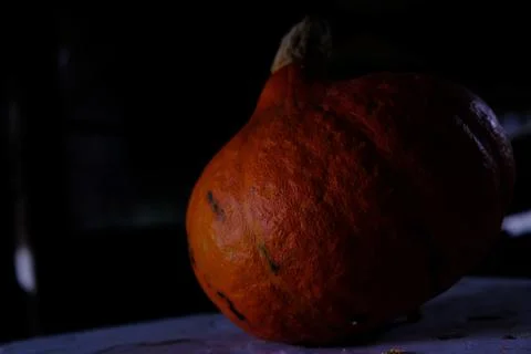 Pumpkin Stock Photos